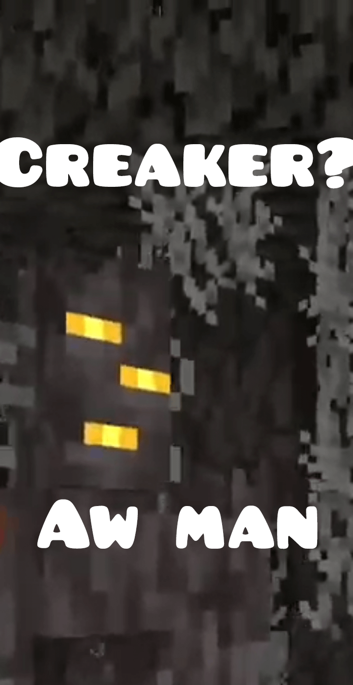 Minecraft Memes - Minecraft Meme: Someone had to do it